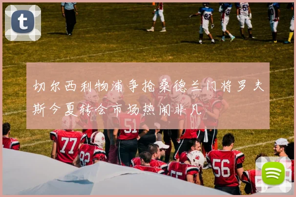 切尔西利物浦争抢桑德兰门将罗夫斯今夏转会市场热闹非凡